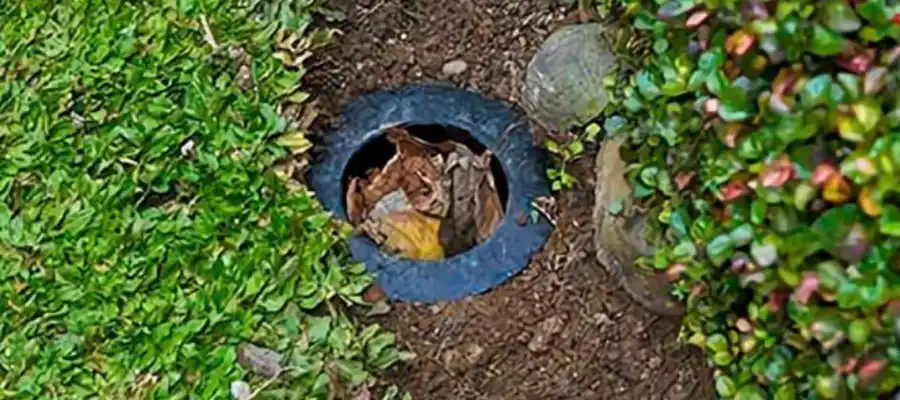 Lubang Biopori