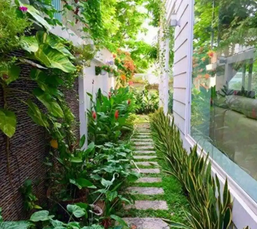Taman Samping Rumah
